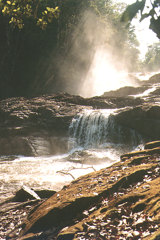 Parques Cahuinarí, Tatamá y Utría.