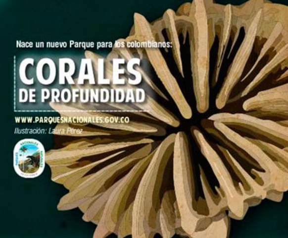 Parque Nacional Natural Corales de Profundidad