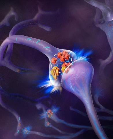 Relieving Parkinson's Symptoms