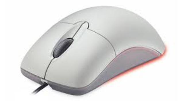The computer mouse