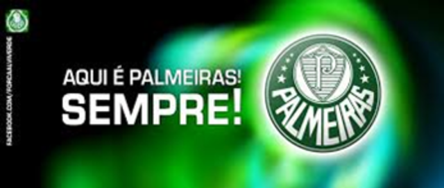 Louco por palmeiras