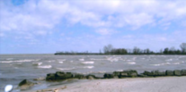 Lake Erie DEAD!