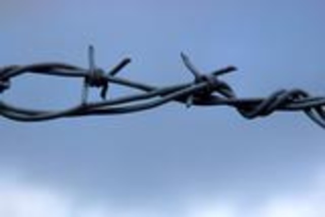 Barbed Wire