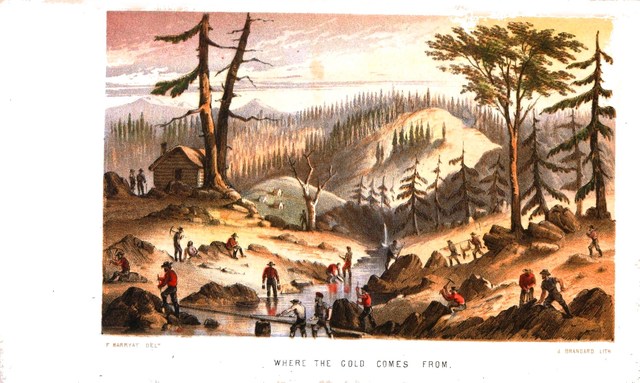 The California Gold Rush