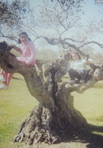 2005. When we bought my countryside