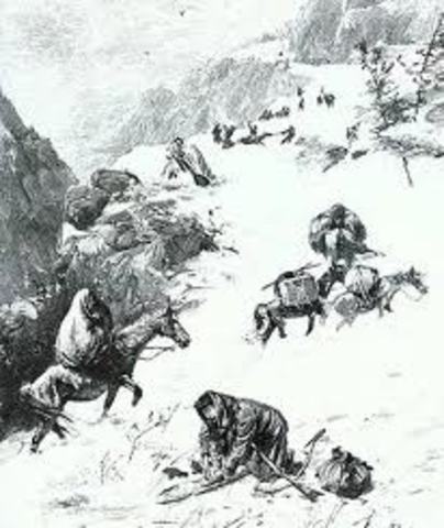 The Donner Party