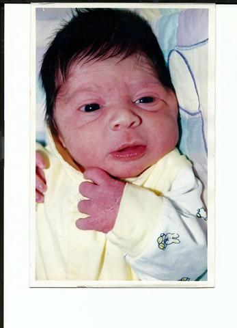 nascimento de maria julia volpato