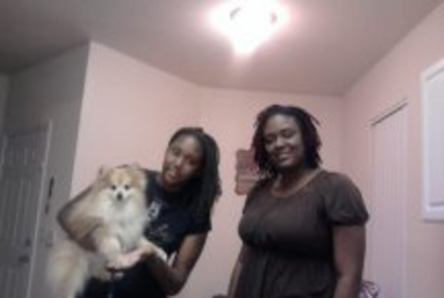 when we moved back to florida in 2010