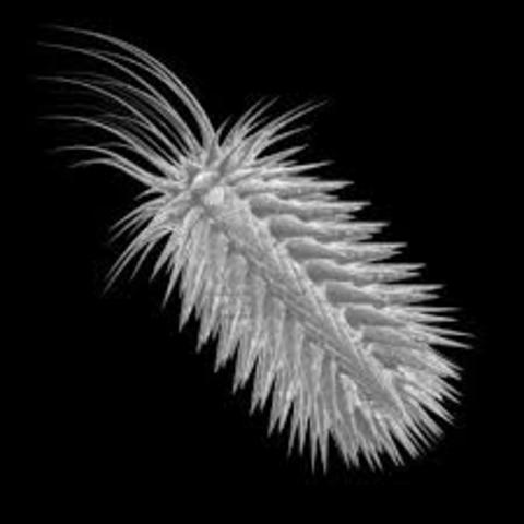 Anton van Leeuwenhoek sees fisrt living cell