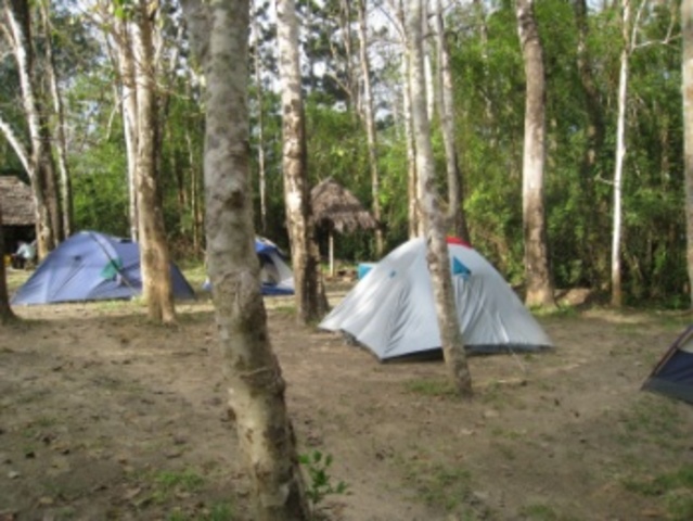 journal 18 got back to the camp