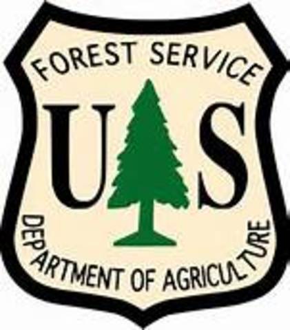 United State Forest Service