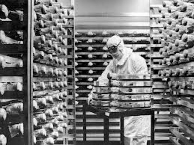 First Vaccine Developed