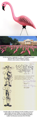 Pink Flamingos First Appear On Bascom Hill