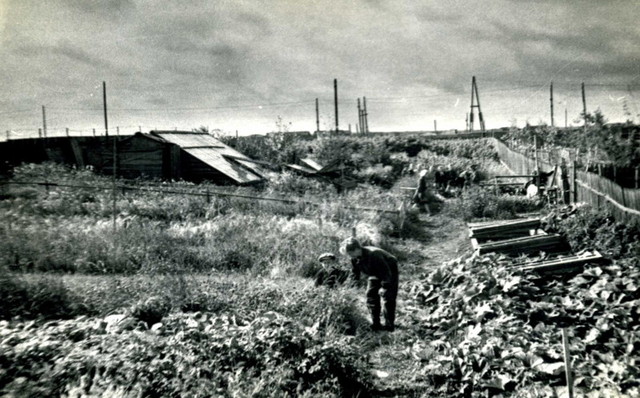 Работа по созданию пришкольного участка