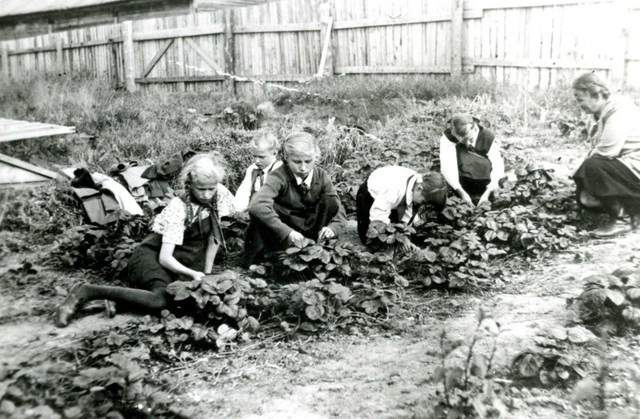 Лучший учебно-опытный участок