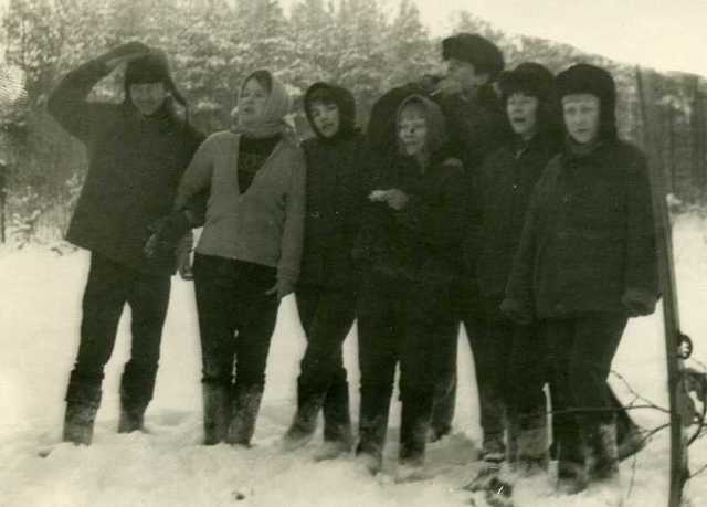 Школьное лесничество