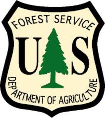 U.S Forest Service
