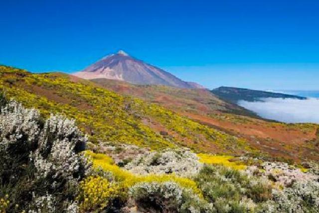 I RIDE IN PLANE FOR FIRST TIME