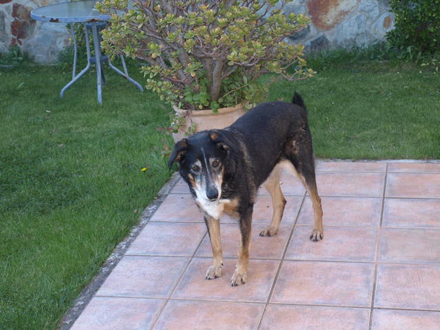 When I finish school.