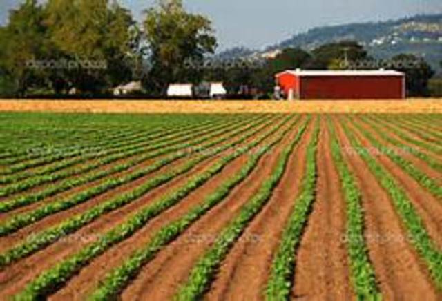 Wanting Land and Working in the City