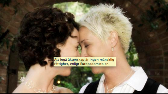 Äktenskap/Partnerskap