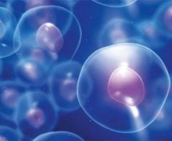 Living cells come only from other living cells was first state