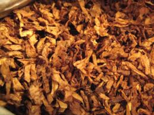 Tobacco introduced to europeans