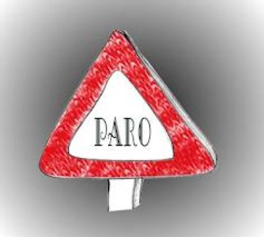 Paros grales de la CGT