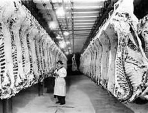 Meat Inspection Act