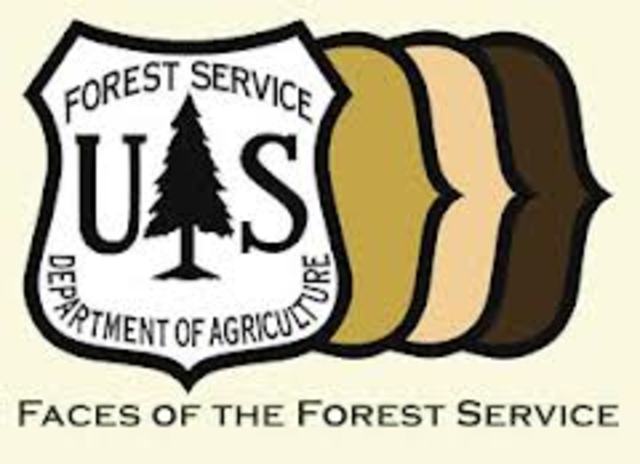 u.s forest service