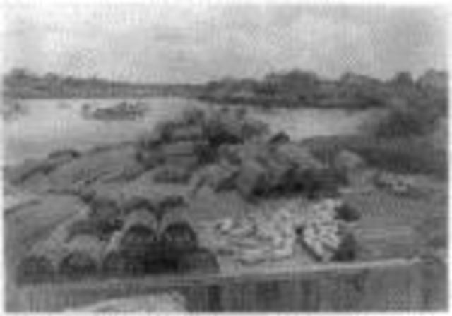 Moving and Finding New Jobs