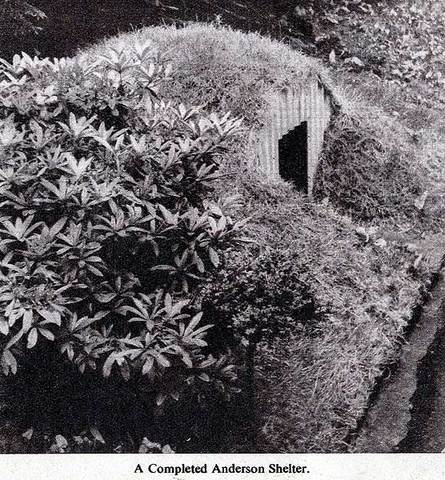 Anderson shelters issued