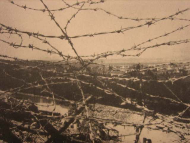 Barbed Wire