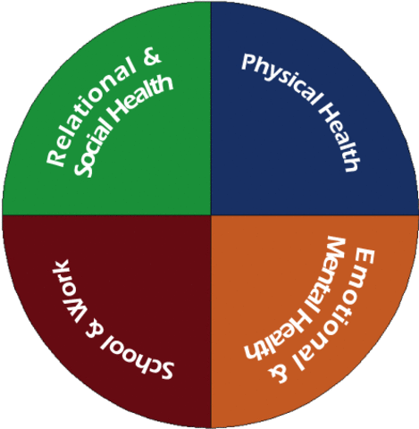 Health Pyramid- social health