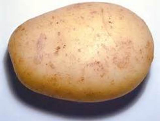 Things Are Looking Up