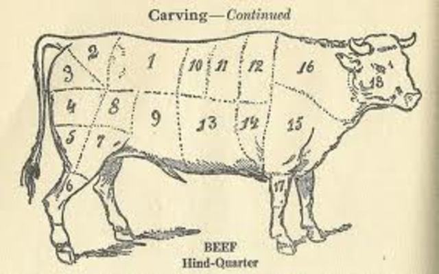 Andreas Vesalius Publishes the Human Body