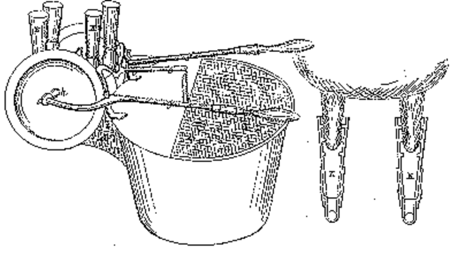 L.O. Colvin invents Vacuum Milker