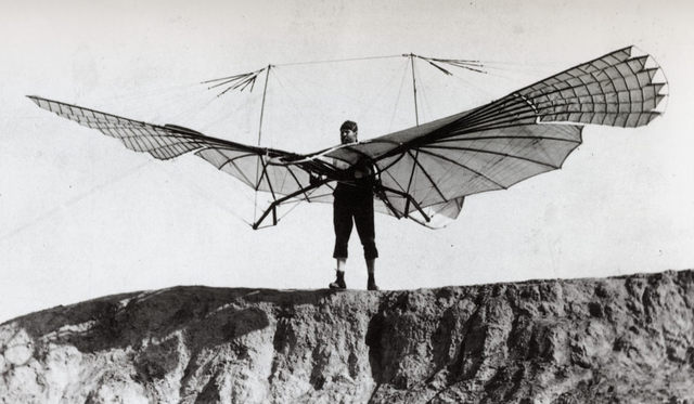 The Ornithopter