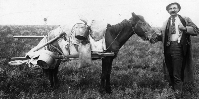 I got a Plot of Land!