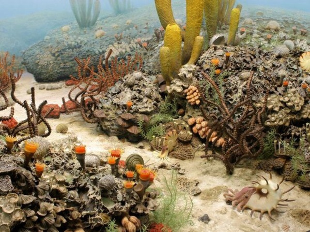 Permian Mass extinction