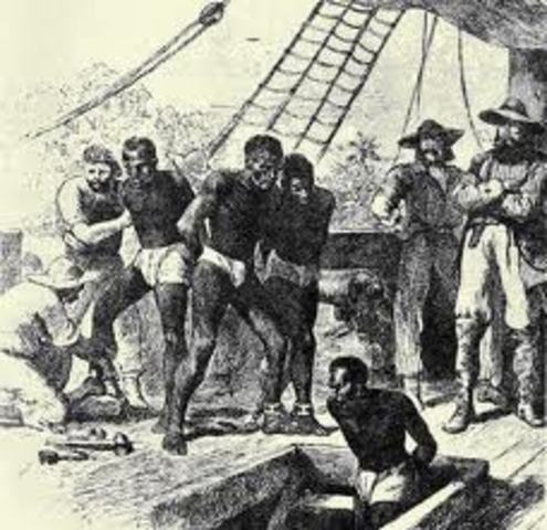 Slaves from Africa first imported to colonies