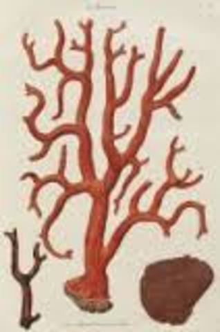 The One who said'All Organic Begins....