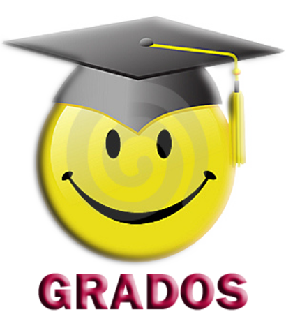 EXPERIENCIA ACADEMICA