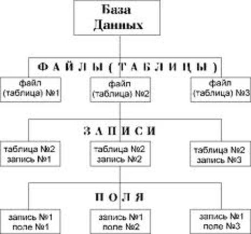 Начало истории базы данных
