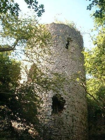 Llanvair Discoed Castle
