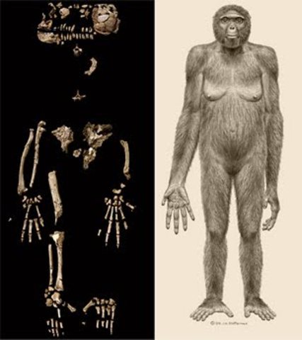 PRE-AUSTRALOPITHECUS(-6 M.A.)