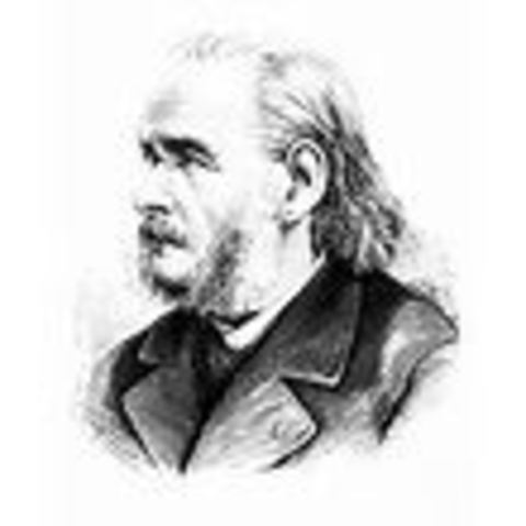 The beta for cell theory