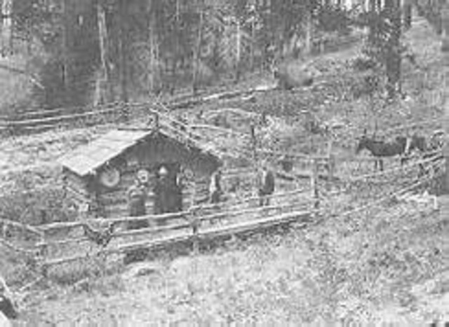 Hard life in Romania