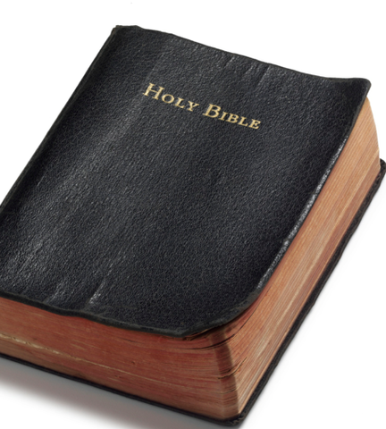 Published Bible into German