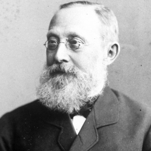 Rudolph Virchow Created a Cell Theory Conclusion